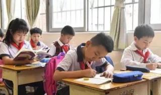 一年级不布置书面作业布置啥作业 一二年级不布置作业