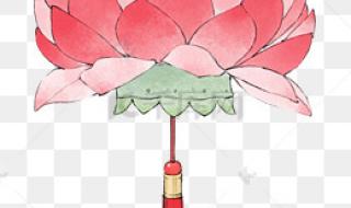 简笔画荷花图片大全