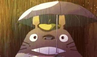 雨水大的年头蚊子多吗 蚊子不会被雨水砸死