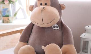 小猴子表情 小猴子表情