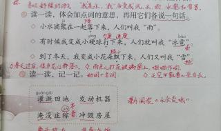 二年级上册语文最后一课生字 我是什么二年级语文