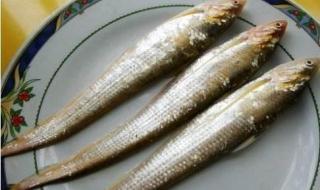 什么鱼最值钱啊 最贵的鱼是什么鱼