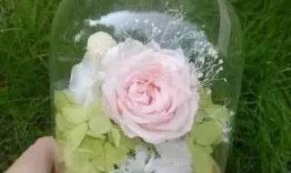 什么干燥剂效果最好 什么可以做干燥剂