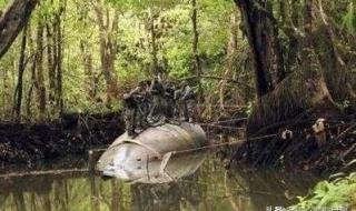 厄瓜多尔的国家代码是多少 尼加拉瓜和厄瓜多尔,哪个国家发达一些