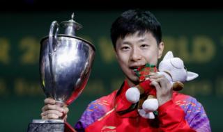 王皓拿过几次世界冠军 世界冠军王皓是什么冠军